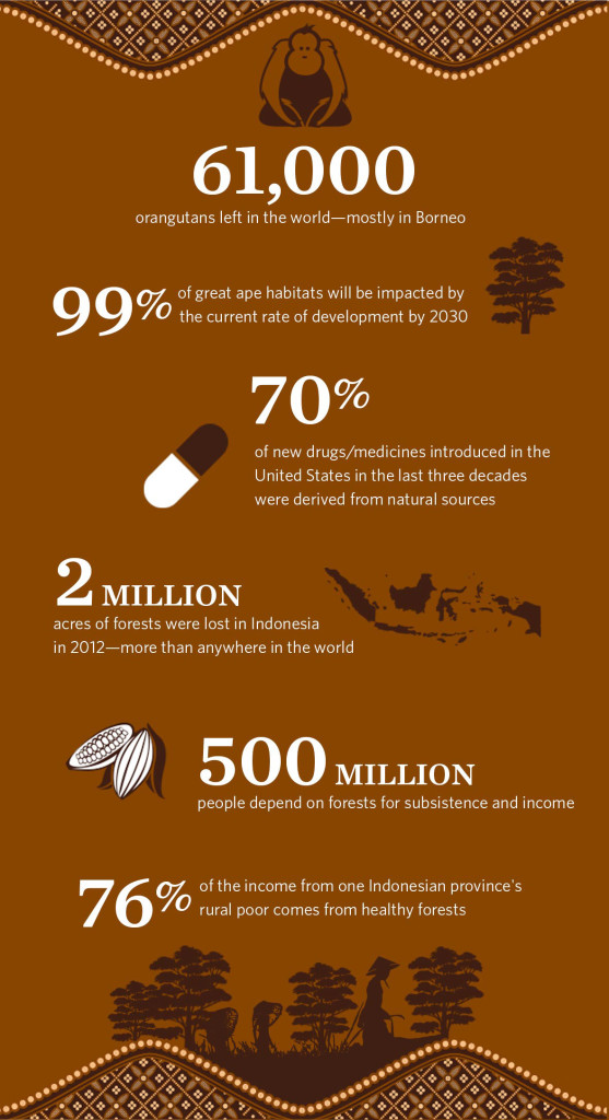 orangutan-infographic-1178x217